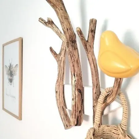 아파트 Eco Feng Shui Lady Pashmina With A View