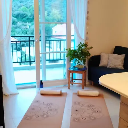 Daire Eco Feng Shui Lady Pashmina With A View